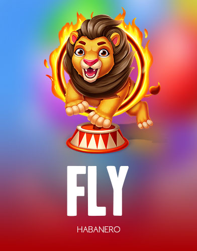 Fly